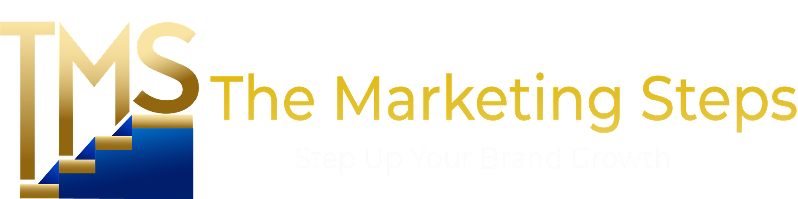The Marketing Steps Website Logo